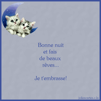 Bonne nuit les ami(e)s